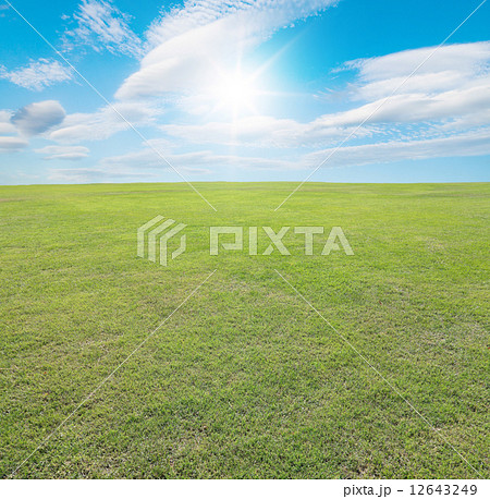 Field of green grass 12643249