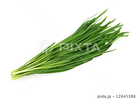 緑黄色野菜の、にら 12645388