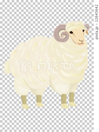 羊のイラスト 角付きのイラスト素材