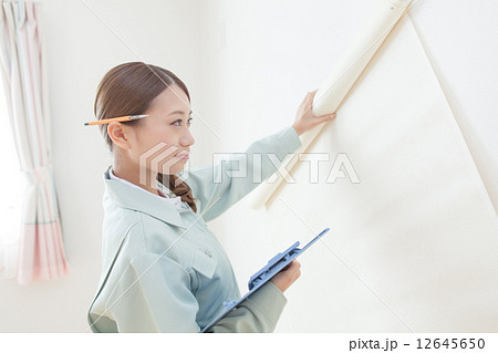 壁紙クロス張替え 12645650