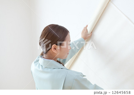 壁紙クロス張替え 12645658