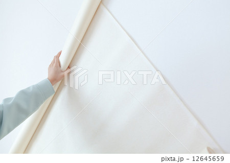 壁紙クロス張替え 壁紙クロス張替え 12645659