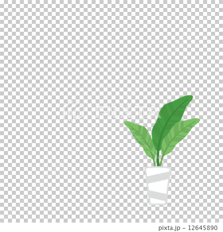 植木鉢 観葉植物のイラスト素材