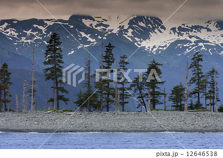 アラスカ 12646538