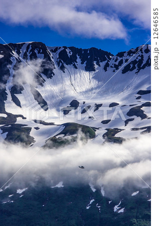 アラスカ 12646585