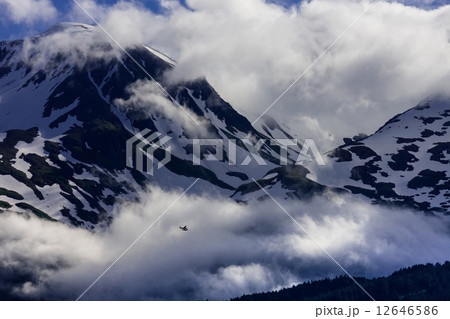 アラスカ 12646586