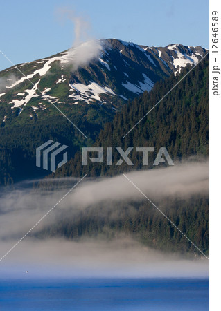 アラスカ 12646589