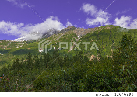 アラスカ 12646899