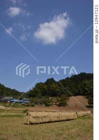 東京の里山 鶴見川源流 9月 東京の里山 鶴見川源流 9月 12647121