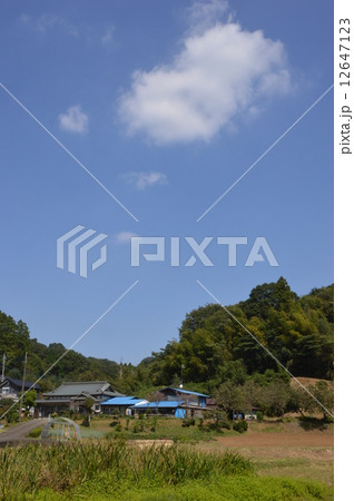 東京の里山　鶴見川源流　９月 12647123