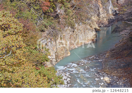 吾妻渓谷の紅葉 吾妻渓谷の紅葉 12648215