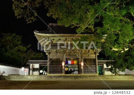 周防国分寺ライトアップ 12648532