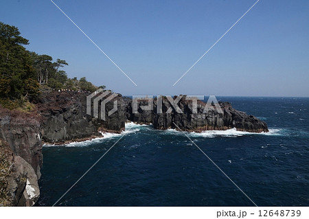 伊豆　城ヶ崎海岸 12648739