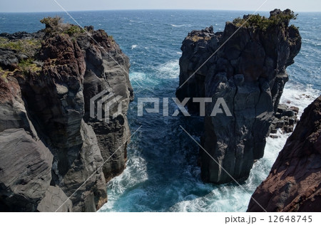 伊豆 城ヶ崎海岸 伊豆 城ヶ崎海岸 12648745