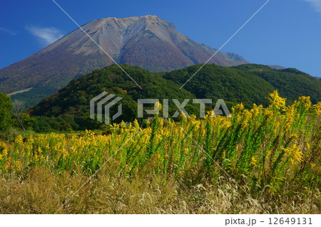 代萩畑と大山 12649131