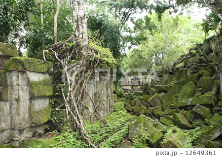 ベンメリア 12649361