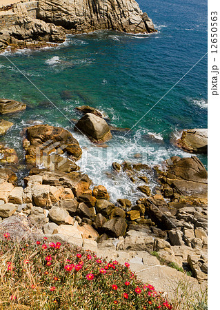 Costa Brava Costa Brava 12650563