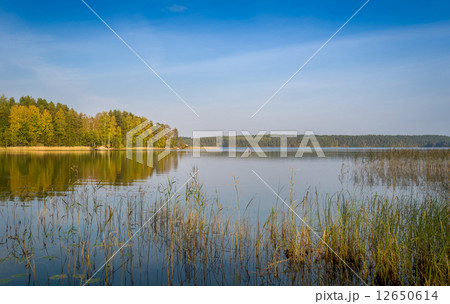 Lake landscape Lake landscape 12650614