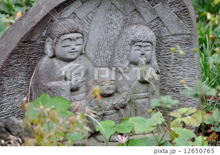 常泉寺 高座渋谷 高野白玉 常泉寺 高座渋谷 高野白玉 12650765