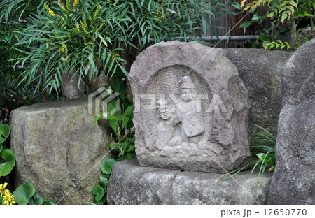 常泉寺 高座渋谷 高野白玉 常泉寺 高座渋谷 高野白玉 12650770