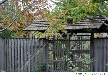 常泉寺 高座渋谷 高野白玉の写真素材