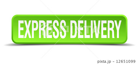 express delivery green 3d realistic square isolated button 12651099