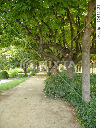 Parc de Pedralbes 12651121