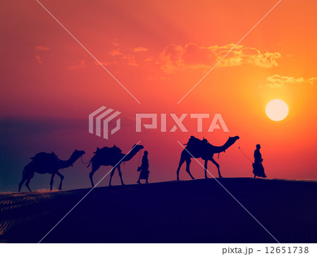 Two cameleers with camels in dunes of Thar deser 12651738