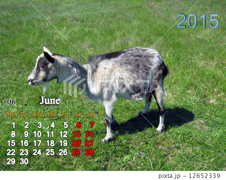 calendar for June of 2015 year with goat 12652339