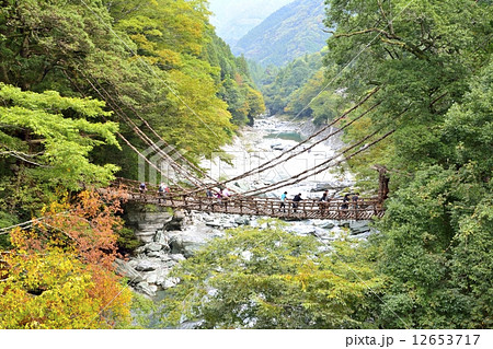 祖谷のかずら橋 祖谷のかずら橋 12653717
