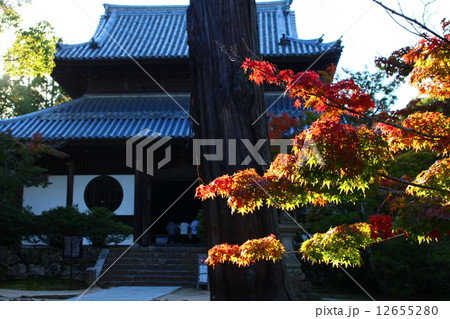 宝福寺 12655280