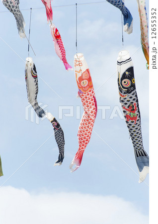 鯉のぼり 鯉のぼり 12655352