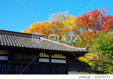 懐古園 三の門 懐古園 三の門 12655474