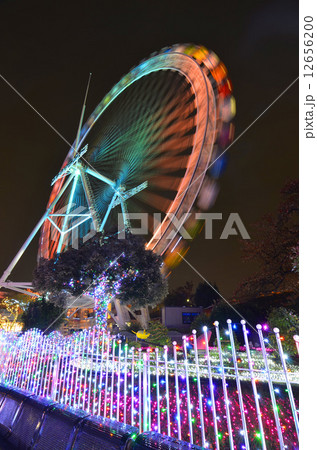 遊園地イルミネーション 12656200