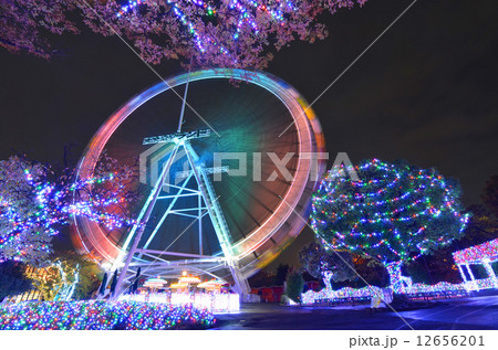 遊園地イルミネーション 12656201