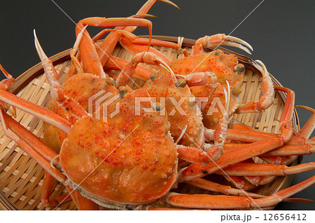 ズワイガニの雌 12656412