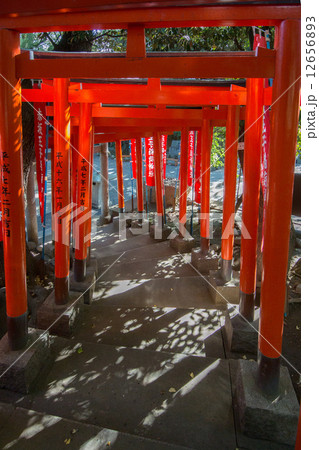 赤坂王子稲荷神社 12656893