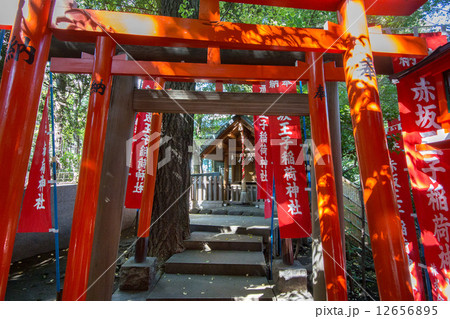 赤坂王子稲荷神社 赤坂王子稲荷神社 12656895