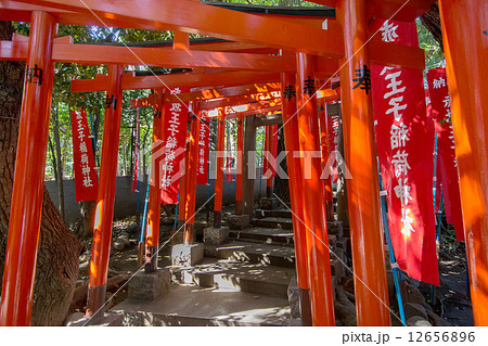 赤坂王子稲荷神社 12656896