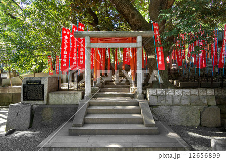 赤坂王子稲荷神社 12656899