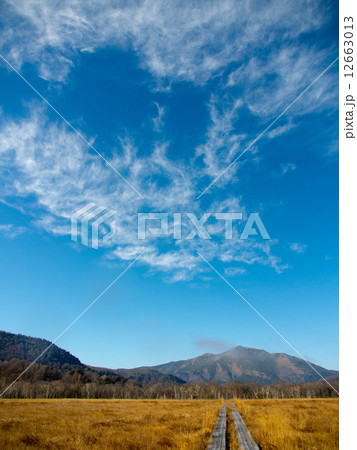 初冬の至仏山 初冬の至仏山 12663013