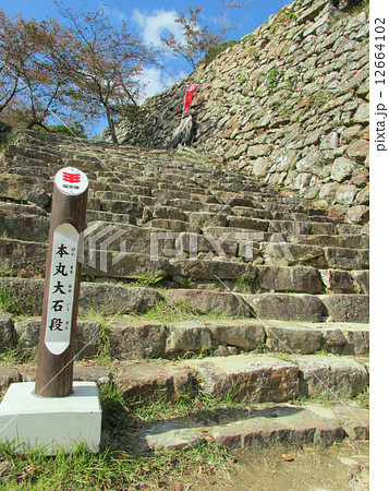 洲本城跡　本丸大石段 12664102
