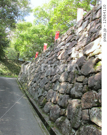 洲本城跡　石垣 12664110