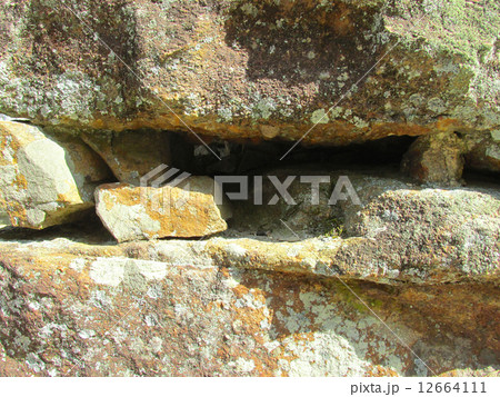 洲本城跡　石垣 12664111