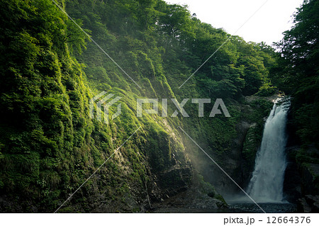 秋保大滝 秋保大滝 12664376