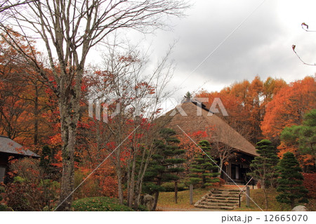 秋の平家の里 12665070