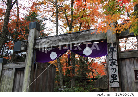 秋の平家の里 12665076