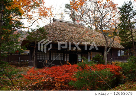 秋の平家の里 12665079