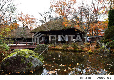 秋の平家の里 秋の平家の里 12665103