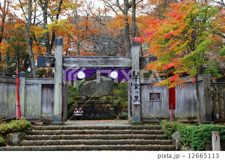 秋の平家の里 12665113